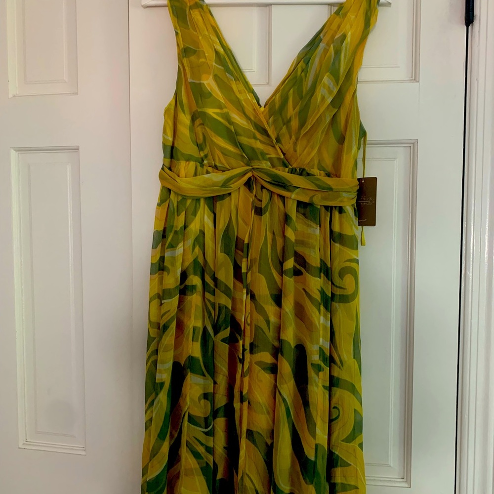 Anthropologie dress- never worn